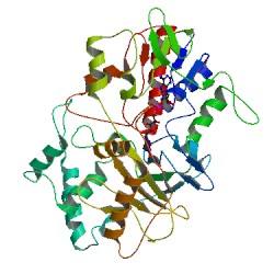 Bradykinin-Potentiator C;30953-20-9