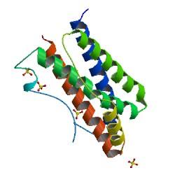 Amyloid β-Protein (1-46