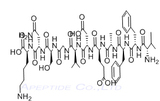 β-Amyloid (1-11)