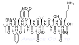 β-Amyloid (18-28)