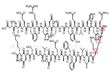 [Gln11]-Amyloid β-Protein (1-28)  