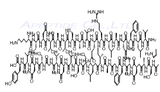 [Arg13] Amyloid-β-Protein Fragment 1-40