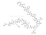 Acetyl-Adhesin (1025-1044) amide
