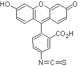 异硫氰酸荧光素