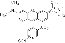 四甲基罗丹明-5(6)-异硫氰酸
