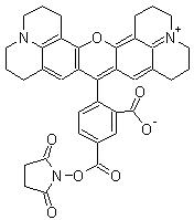 5-羧基-X-罗丹明琥珀酰亚胺酯