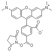 5-羧基四甲基罗丹明琥珀酰亚胺