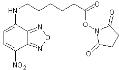 NBD-X琥珀酰亚胺酯