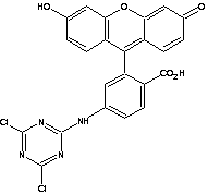 6-(4,6-二氯三嗪基)-氨基荧光素
