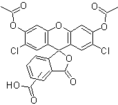 5(6)-羧基-2',7'-二氯荧光素二乙酸酯
