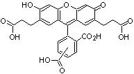 2',7'-二-(2-羧乙基)-5(6)-羧基荧光素（混合物）