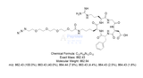 RGD环肽合成;Cyclo(RGDfK(Azido-PEG4));Cas:2227549-75-7