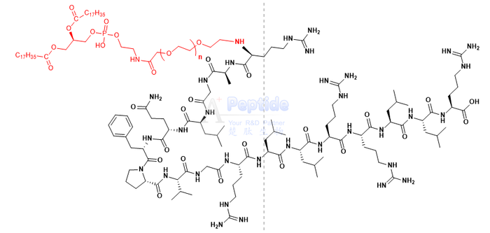 DSPE-PEG-BR2 (RAGLQFPVGRLLRRLLR).png