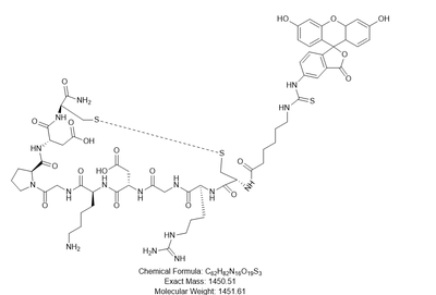 FITC-iRGD;FITC-CRGDKGPDC-NH2(Cys-Cys)