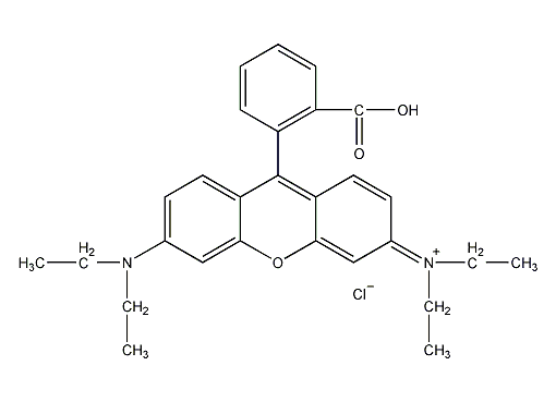 罗丹明b